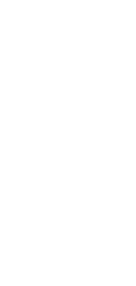 Accounting Internal Controls